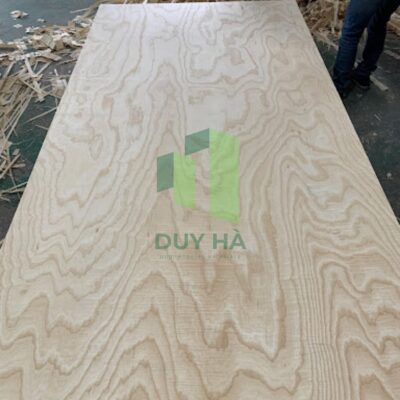 veneer gỗ tần bì