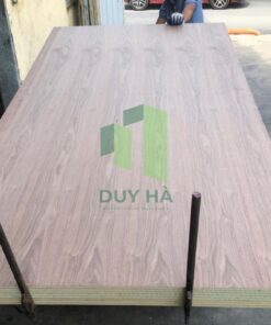veneer gỗ óc chó2