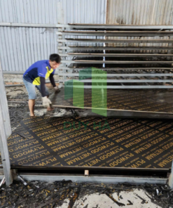 phủ phim A1 xuất khẩu